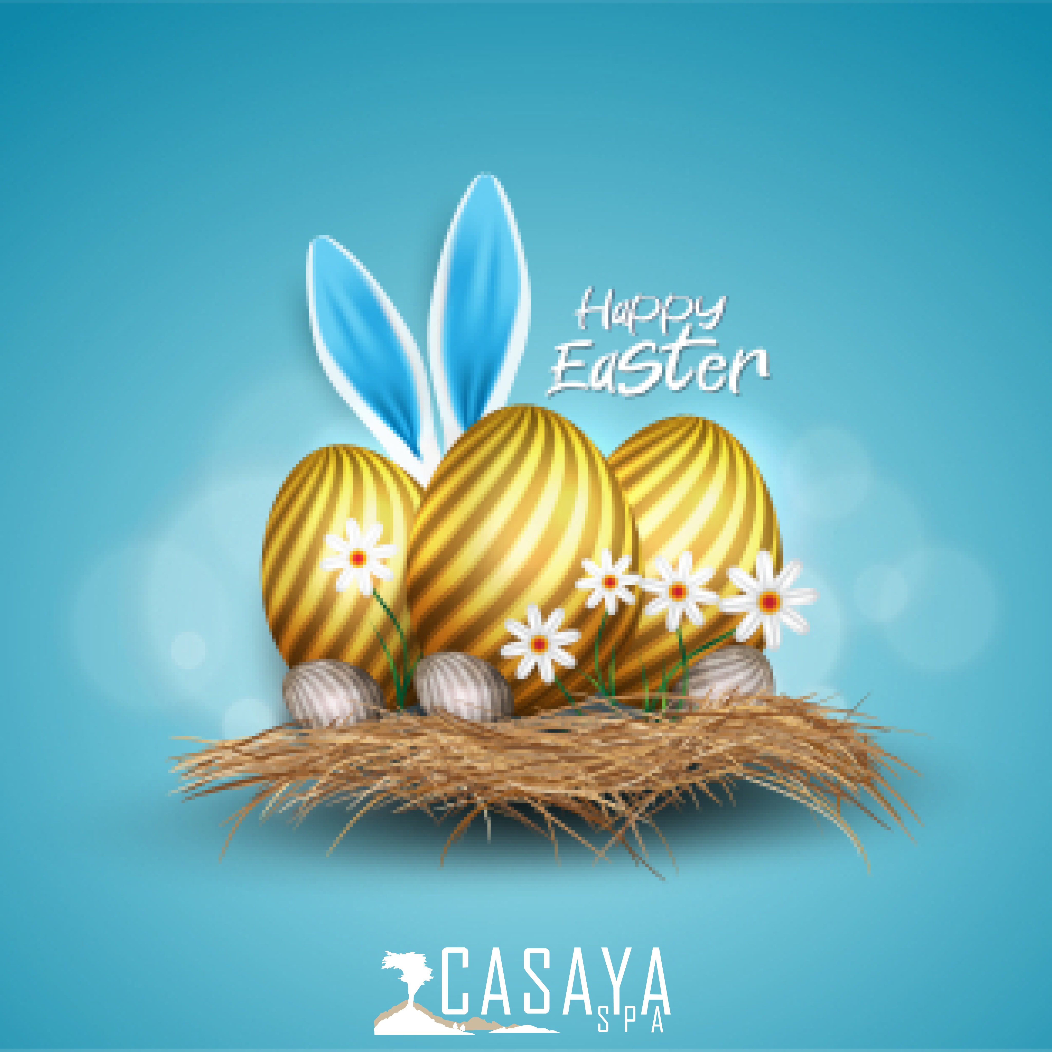 Casaya Spa | Pasen